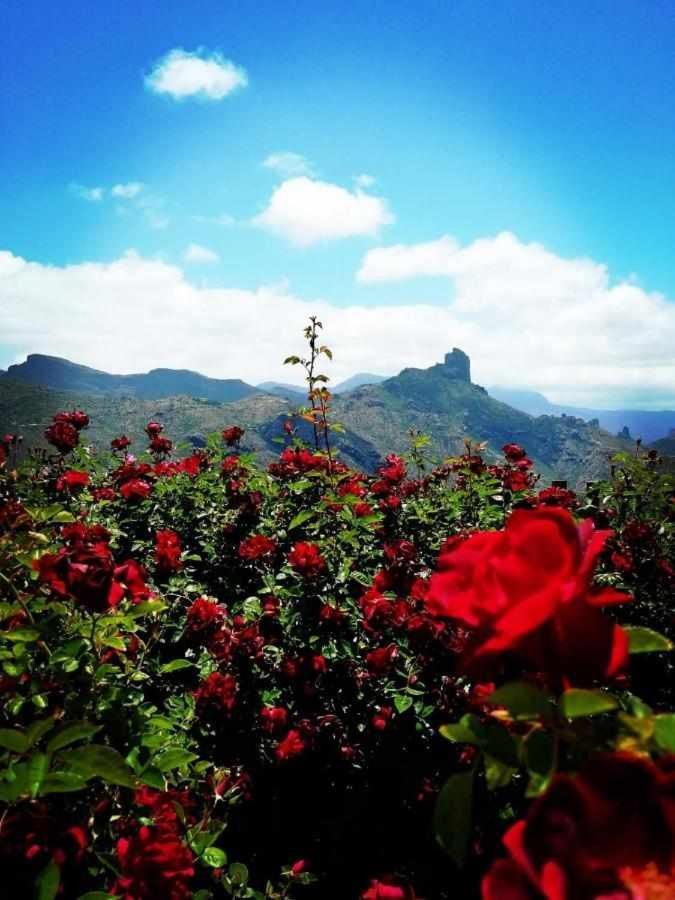 Maison d'hôtes El Rincon Del Nublo à Tejeda  Extérieur photo